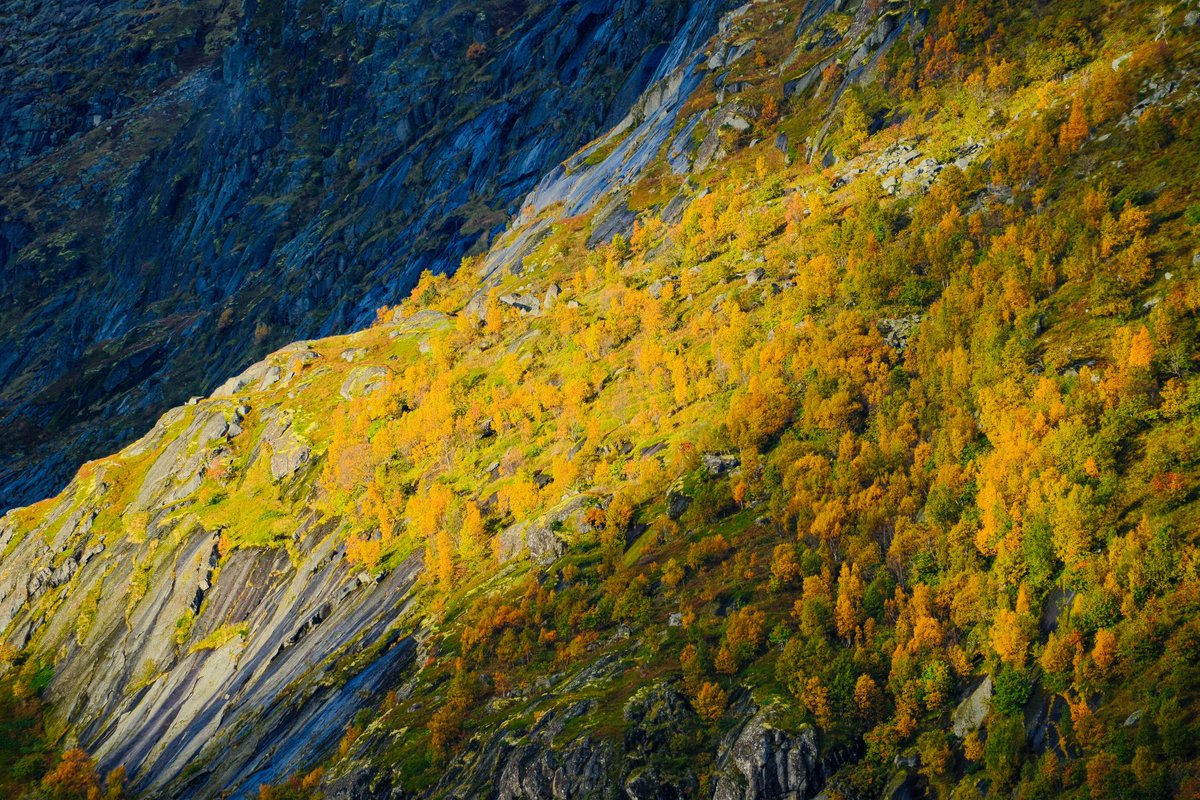 Norway-05