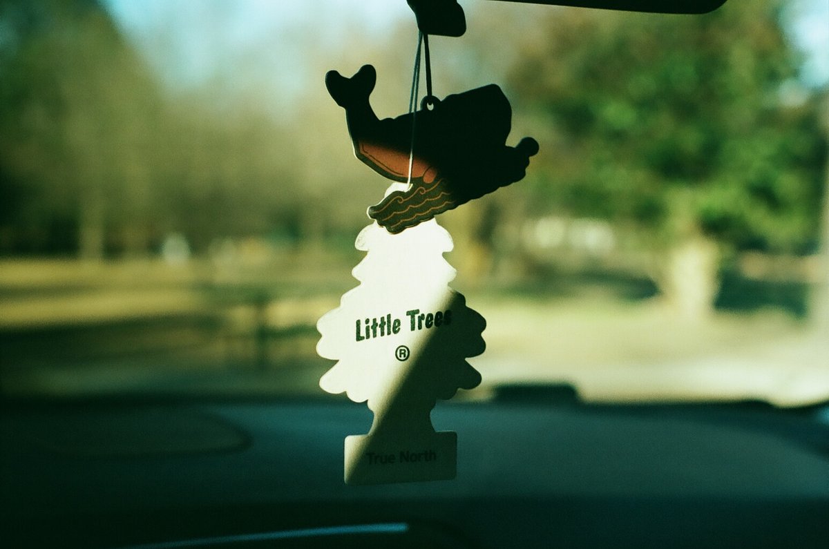 68998588_1084714_583d667d1cf2329ae8aa96fb418f8968_full