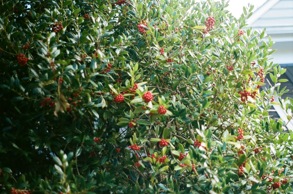 68998607_1084714_90ddeeb5a5caf8a502613e6200969431_full