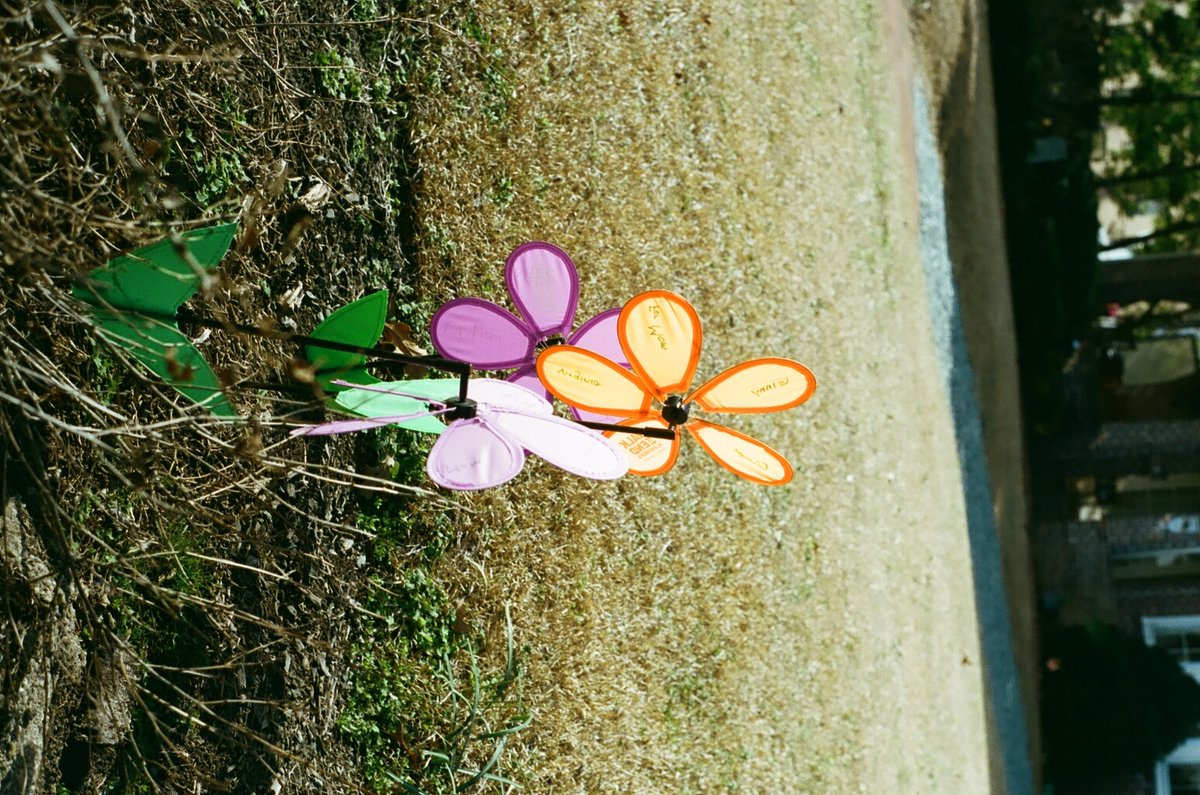 68998613_1084714_90ddeeb5a5caf8a502613e6200969431_full