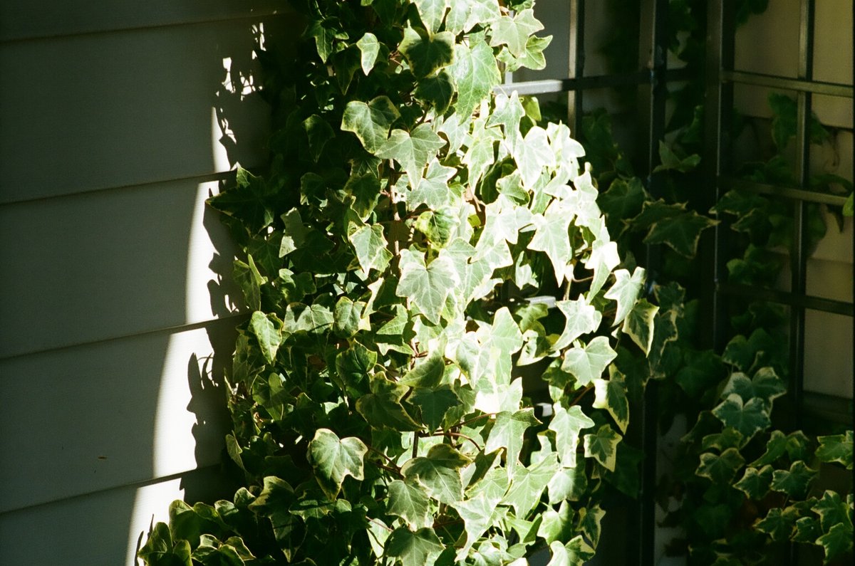 68998627_1084714_1401322c79f873cb77f99b986d8d60a9_full