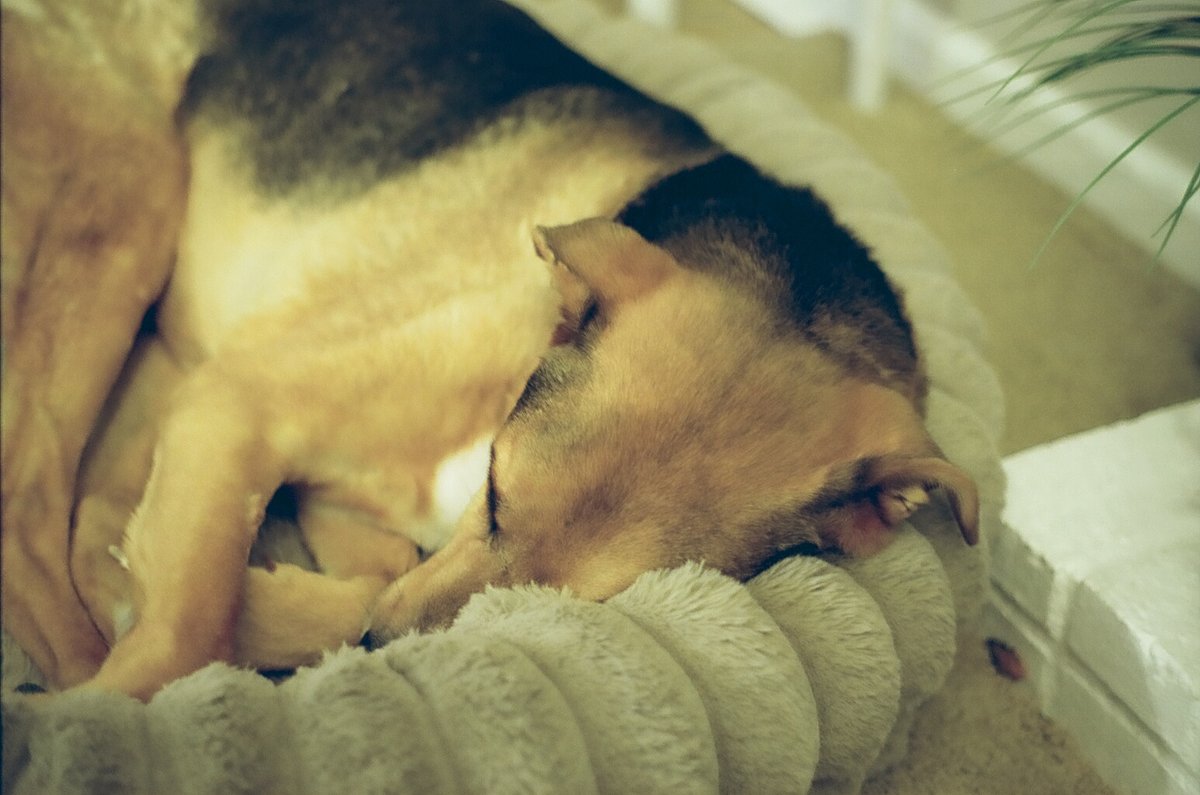 68998628_1084714_1401322c79f873cb77f99b986d8d60a9_full