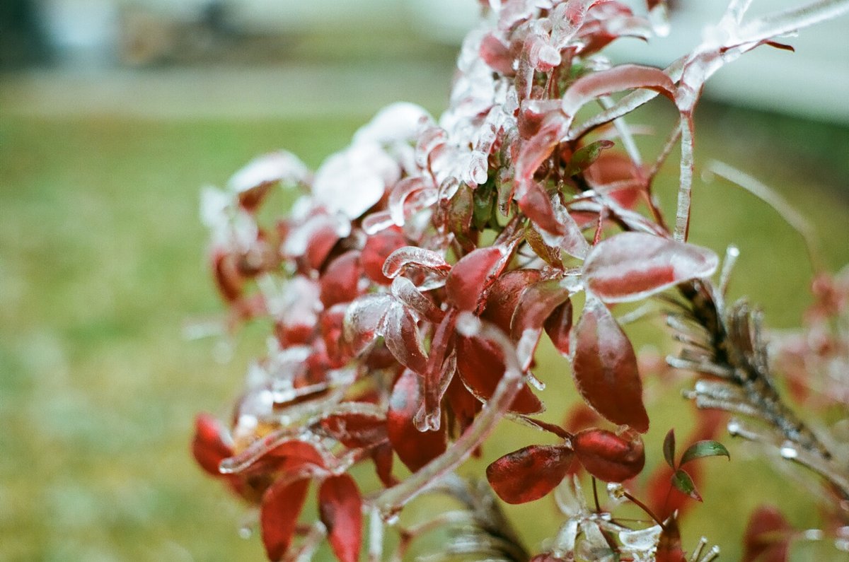 68998635_1084714_60a08610fc2fdbf010f5b6af752c7e17_full