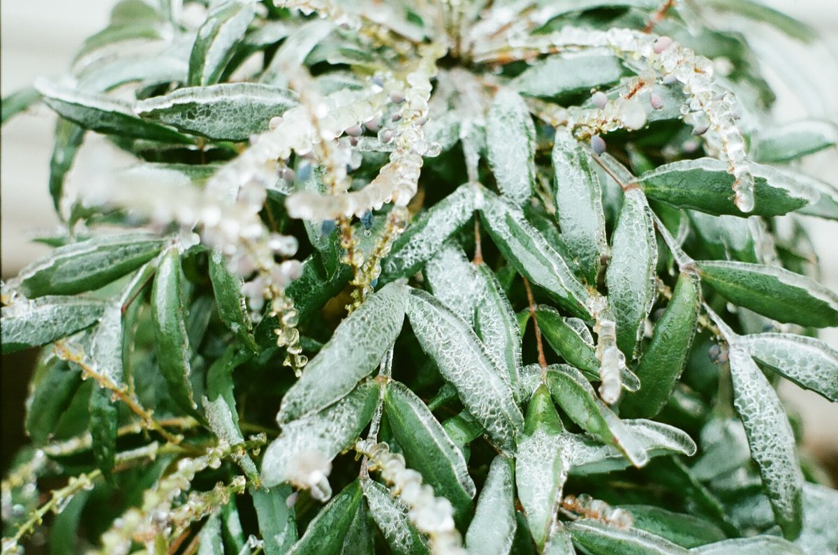 68998642_1084714_a517d902215611093bbb3fce14c42e94_full