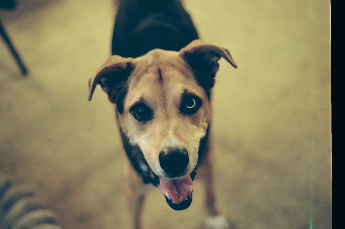 68998646_1084714_3fca9d36314b89c1e5580171c711985d_full