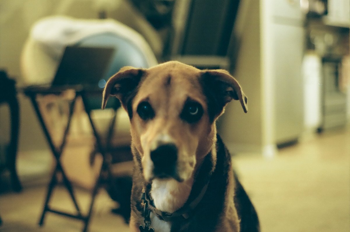 68998679_1084714_f0cd3d41ad8988c1044167a6ab54f639_full